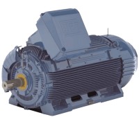 Электродвигатель W51 HD c короткозамкнутым ротором трехфазный IEC NEMA Изображение 1
